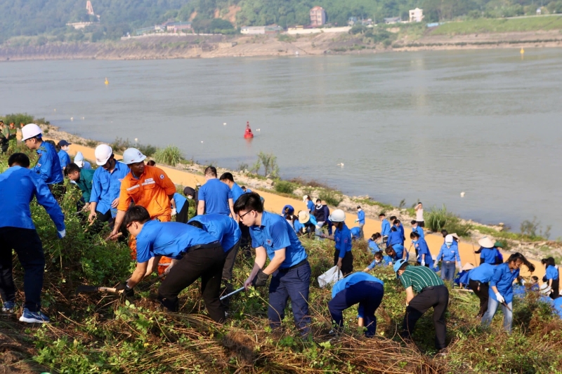 Tham gia các chiến dịch dọn dẹp môi trường