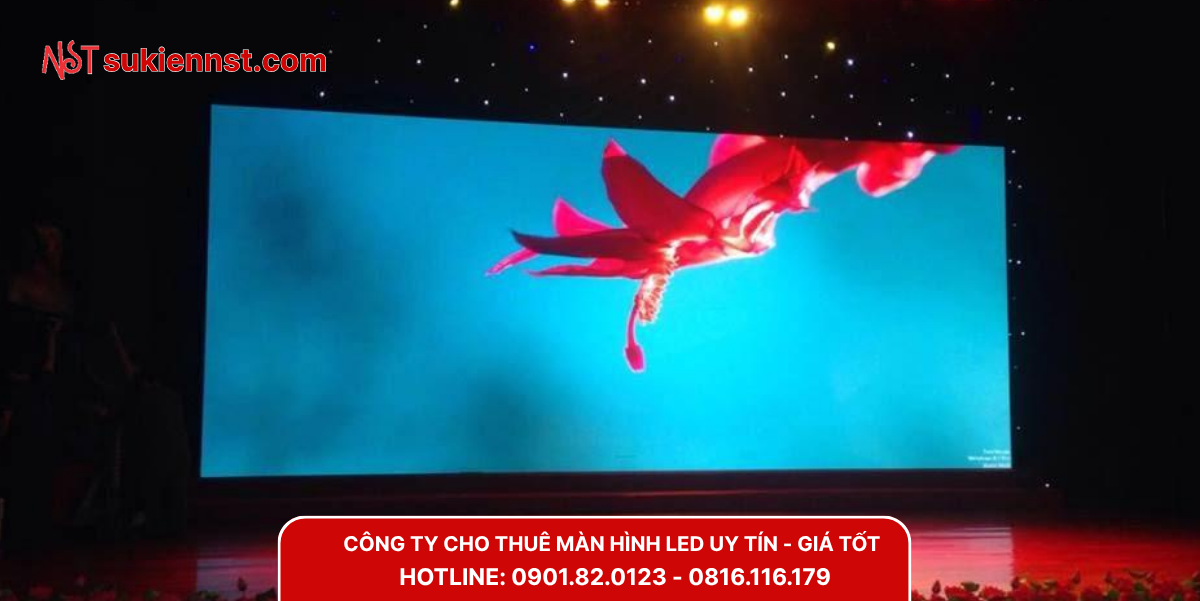 Ưu điểm khi chọn Ngôi Sao Trẻ để thuê màn hình led tại Long An